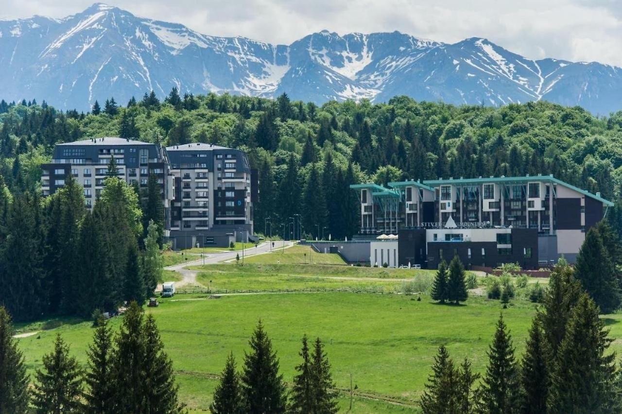 Apartment Pentahouse Mountain Belle Vue